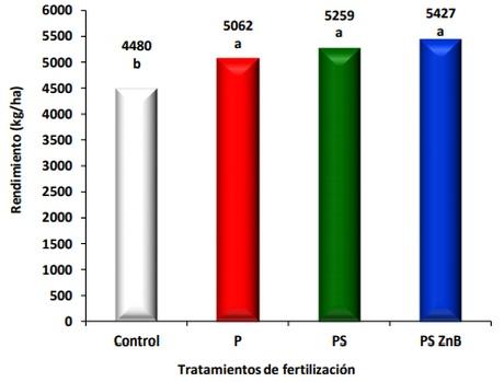 Evaluación de cultivares de soja bajo diferentes escenarios de fertilización - Image 6