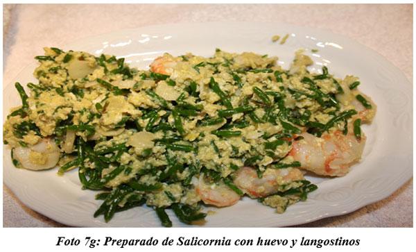 También sirven para hacer cocina gourmet : DIFERENTES TIPOS DE COMIDAS GOURMET CON FORRAJES NATURALES1 - Image 16