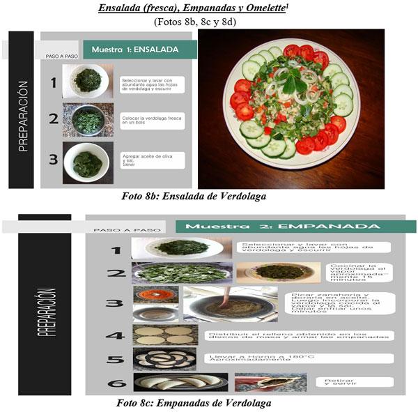 También sirven para hacer cocina gourmet : DIFERENTES TIPOS DE COMIDAS GOURMET CON FORRAJES NATURALES1 - Image 18