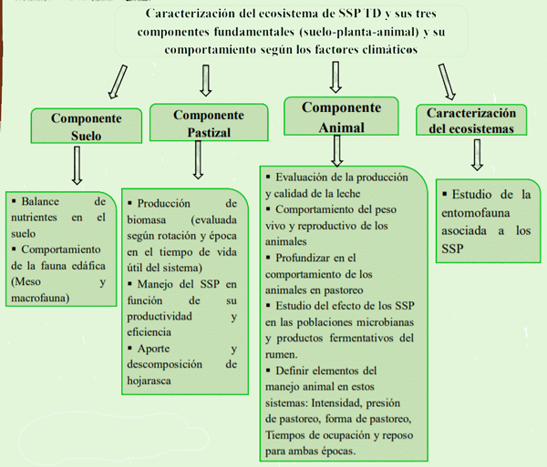 Establecimiento y evaluación de un SSP con Tithonia diversifolia (Hemsl.) Gray en la producción de leche en Cuba - Image 2