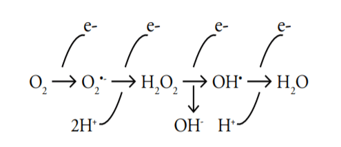 Figura N. 3 . Generación de ROS a partir de la oxidoreduccion(Explicación grafica de la ecuación)