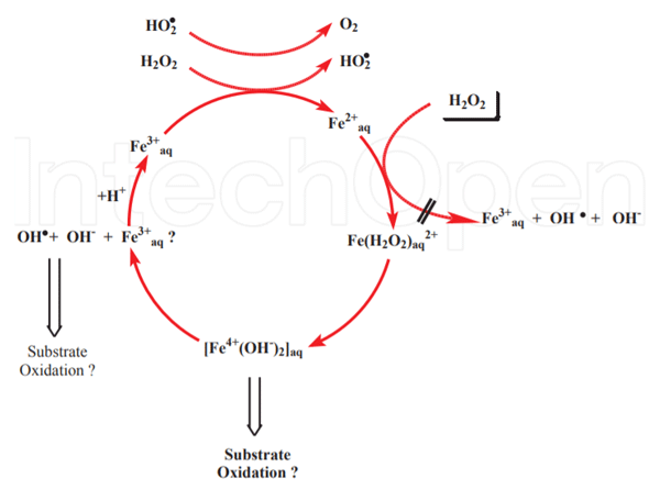 Figura N.3 Mecanismo de presentación de la reacción térmica de Fenton cuando reacciona con el hierro o grupos hemo sanguíneos[16]