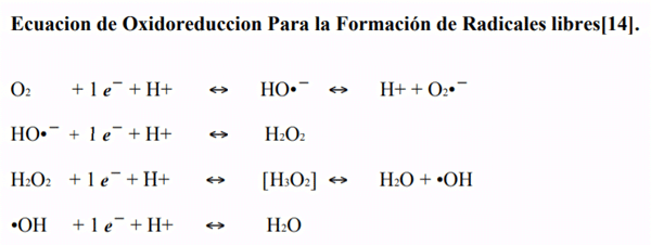 Ecuacion N 1. Reacción de Oxidoreduccion por pasoso para la producción de Radicales libres