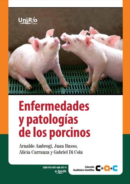 Enfermedades y patologías de los porcinos - Image 1
