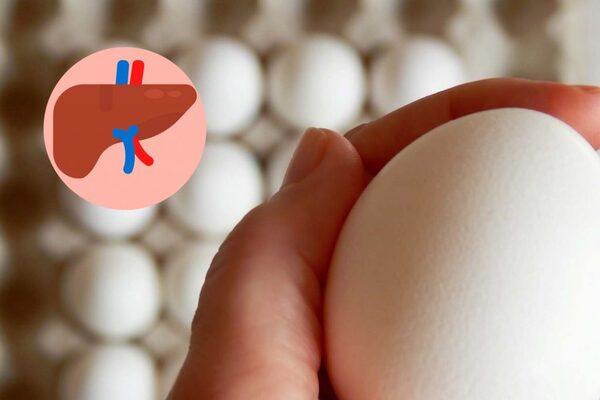 Importancia de la salud hepática para la producción de huevos - Image 1