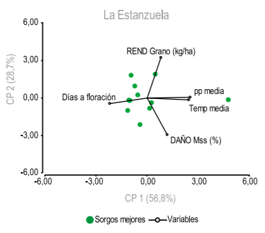 Figura 5 - ACP para daño Mss (%), Rend Grano sorgo (kg/ ha), Temp media (°C), pp media (mm) y días a floración (DAF) para los mejores sorgos de LE.