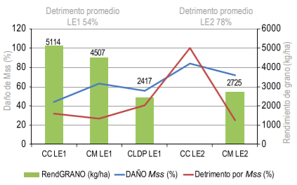 Figura 2 - Relación entre rendimiento de grano (kg/ha), daño de Mss (%) y detrimento en rendimiento de grano (%) para los cinco ensayos de LE.