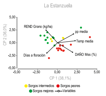 Figura 4 - ACP para daño Mss (%), Rend Grano sorgo (kg/ ha), Temp media (°C), pp media (mm) y días a floración (DAF) para LE.