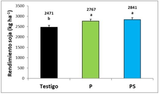 Figura 3: Rendimientos obtenidos en función de los tratamientos (Testigo: sin agregado de fertilizantes; P con el agregado de 20 kg de P ha-1 y PS con el agregado de 20 kg de P ha-1 más 10 kg de S ha-1). Medias con una letra común no son significativamente diferentes (p > 0,05).