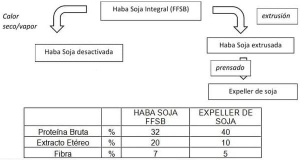 Otros productos y subproductos derivados de la soja, Ing. Agr. Pedro Deluchi - Image 1