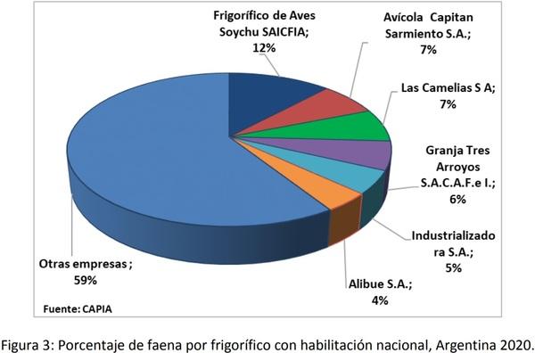 La cadena de carne aviar en Argentina. Indicadores económicos e informes técnicos - Image 5