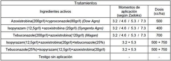 Eficacia en el control químico de enfermedades foliares en trigo y cebada - Image 3