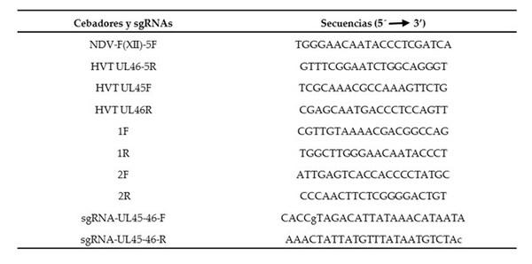 Un Herpesvirus de Pavo Recombinante que Expresa la Proteína F del Genotipo XII del Virus de la Enfermedad de Newcastle Generado por los Sistemas NHEJ-CRISPR/Cas9 y Cre-LoxP Confiere Protección contra un Desafío del Genotipo XII en Pollos - Image 1