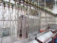 Soluciones integrales para plantas de procesamiento en la industria avícola - Image 3