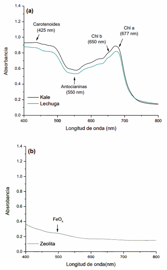 Potencial de los residuos de kale y lechuga como adsorbentes de aflatoxina b1 en un modelo dinámico que simula las condiciones del tracto gastrointestinal de las aves - Image 1