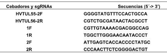 Tabla 1. Lista de cebadores y de sgRNAs utilizados en este estudio para la generación del rHVT-AIV H5