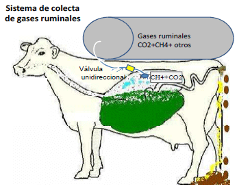 Producción de energía a partir de los gases ruminales del bovino - Image 18