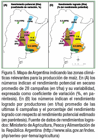 Atlas Mundial de Brechas de Rendimiento: Trigo, soja y maíz en Argentina - Image 5