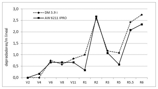 Cultivo de soja Bt (AW 6211 IPRO) y convencional (DM 5.9i) expuestos a poblaciones naturales de organismos plaga y benéficos - Image 3
