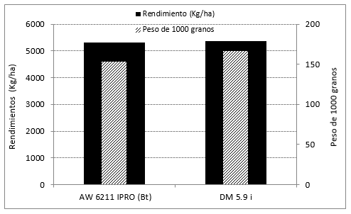 Cultivo de soja Bt (AW 6211 IPRO) y convencional (DM 5.9i) expuestos a poblaciones naturales de organismos plaga y benéficos - Image 4