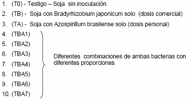 Co-Inoculación en Soja (Glicyne max) con Bradyrhizobium japonicum y Azospirillum brasilense - Image 3