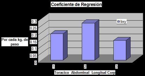 Estimacion del peso vivo de los bovinos en el Municipio de Nocupetaro, a traves del perimetro toraxico, abdominal y la longitud corporal - Image 10