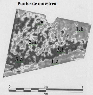 Caracterización y manejo sitio específico de suelos halomórficos - Image 2
