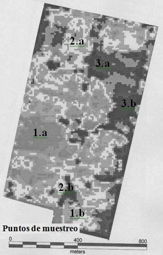 Caracterización y manejo sitio específico de suelos halomórficos - Image 1