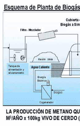 Produccion de Biogas – Plantas Centralizadas y Simplificadas - Image 17
